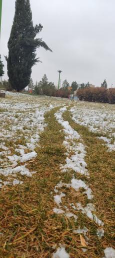 عکس بوستان حافظ