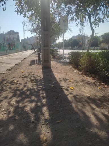 عکس  جانباز 13