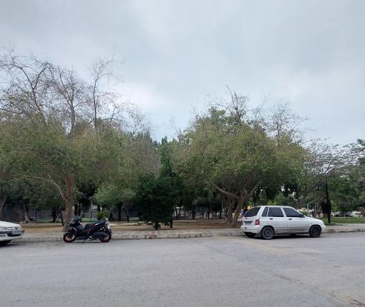 عکس پارک عسلی