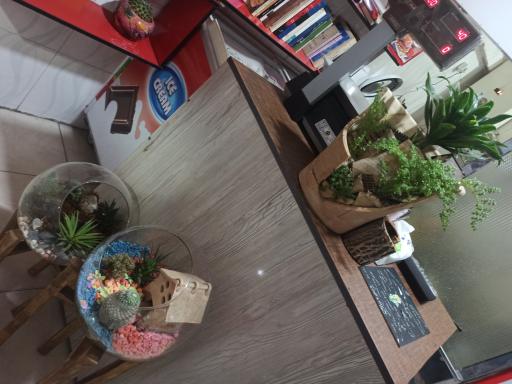 عکس فست فود کاکتوس 