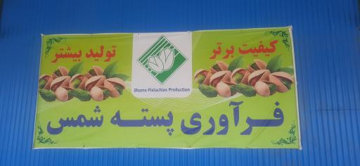 عکس کارخانه پسته شمس