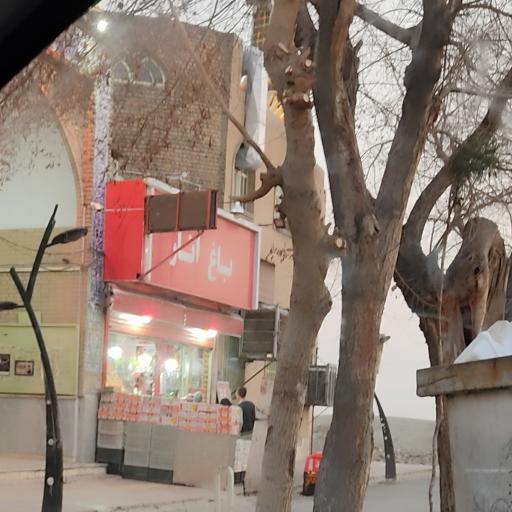 عکس باغ انار