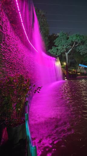 عکس دریاچه قو پارک چمران