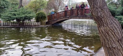 عکس دریاچه قو پارک چمران