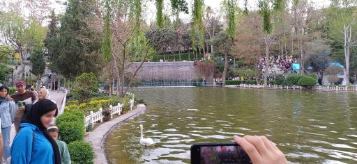 دریاچه قو پارک چمران