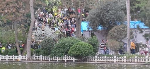 عکس دریاچه قو پارک چمران