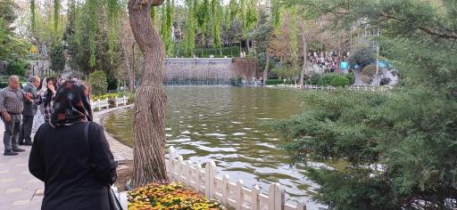عکس دریاچه قو پارک چمران