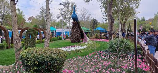 دریاچه قو پارک چمران