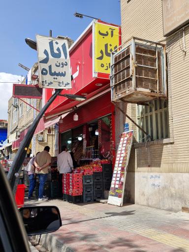 عکس باغ انار