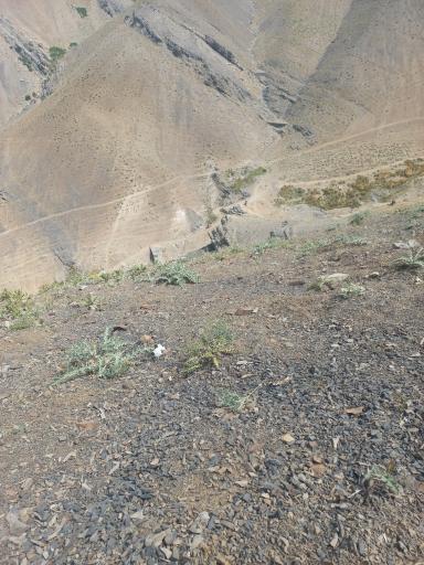 عکس امامزاده داوود