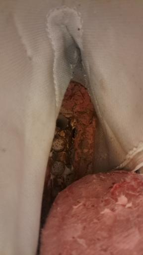 عکس فروشگاه کفش ملی