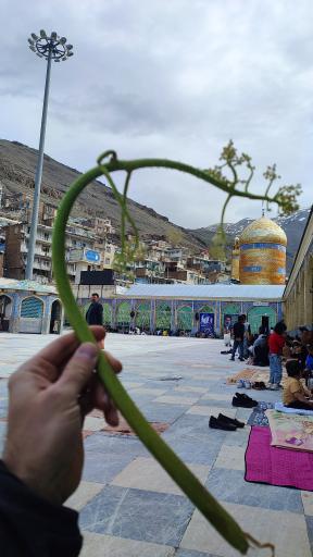 عکس امامزاده داوود