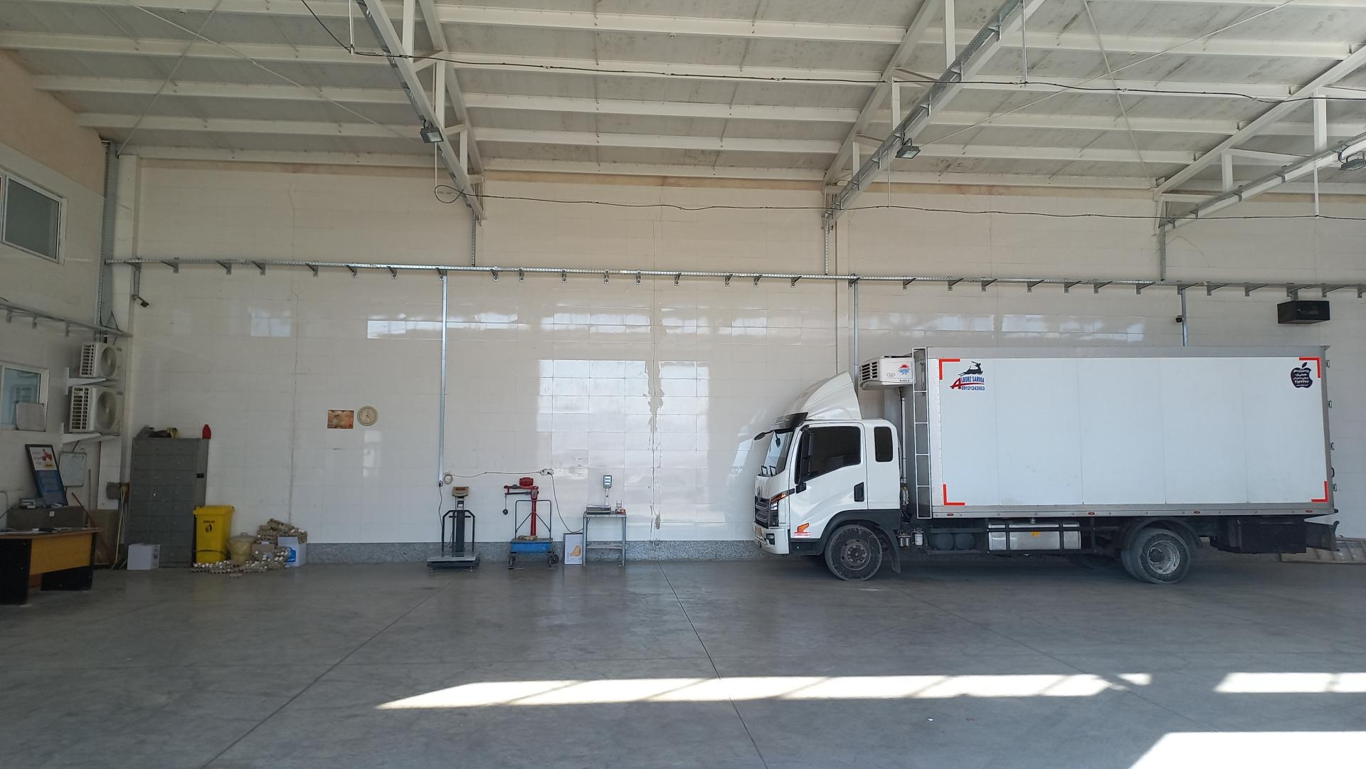 عکس مرکز توزیع تخم مرغ بیرجند 