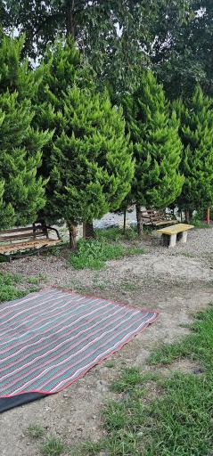 عکس پارک شهر