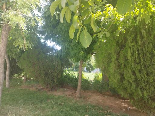 عکس فضای سبز