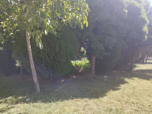 عکس فضای سبز