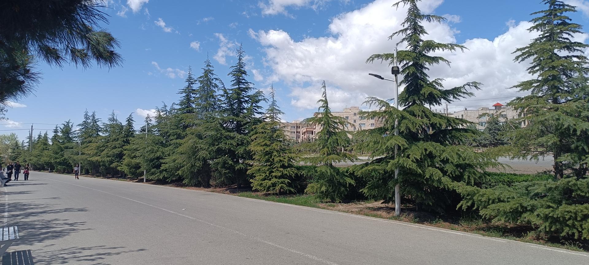 عکس فضای سبز