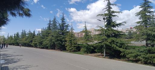 عکس فضای سبز