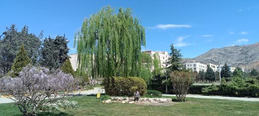 عکس فضای سبز