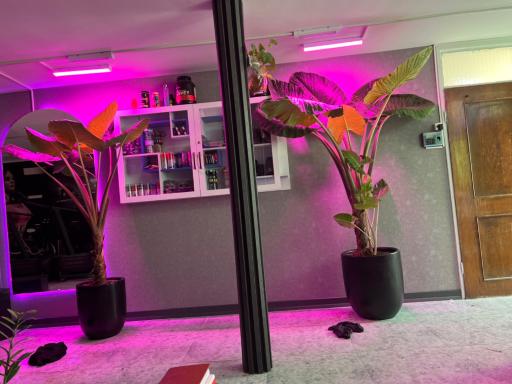 عکس باشگاه بدنسازی بانوان اکسیر