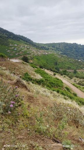 عکس ییلاقات ماسال