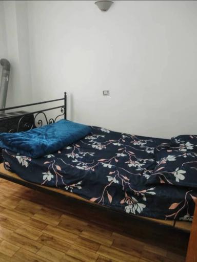 مجتمع رفاهی امیر