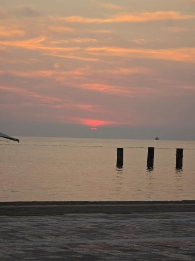 عکس پارک ساحلی نگین