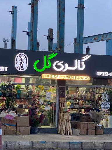 عکس FLOWERGALLLERY | گالری گل 