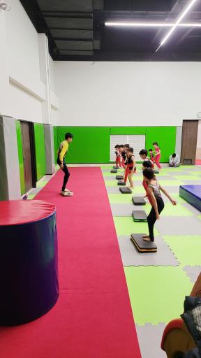 عکس باشگاه تخصصی ژیمناستیک 