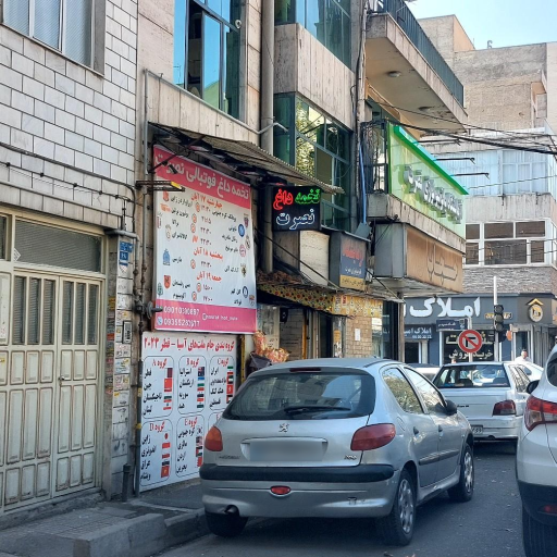 عکس تخمه داغ نصرت