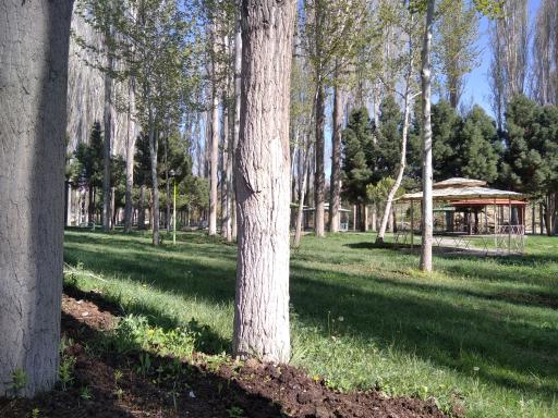 عکس بوستان میکائیل