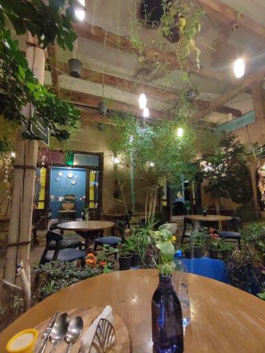 عکس کافه رستوران عمارت دایار