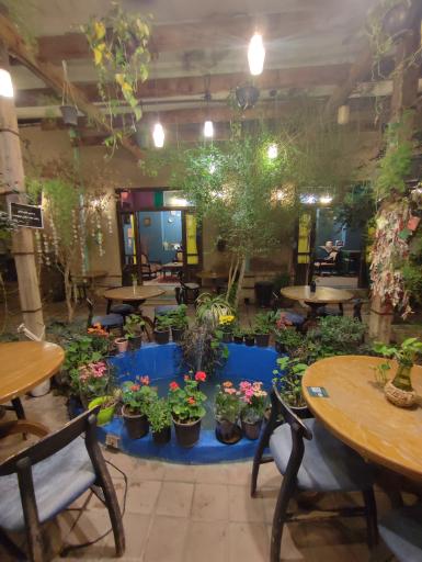 عکس کافه رستوران عمارت دایار