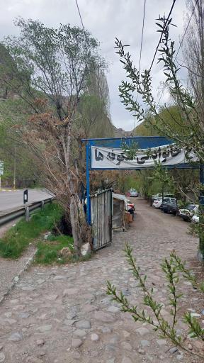 عکس باغ شکوفه ها