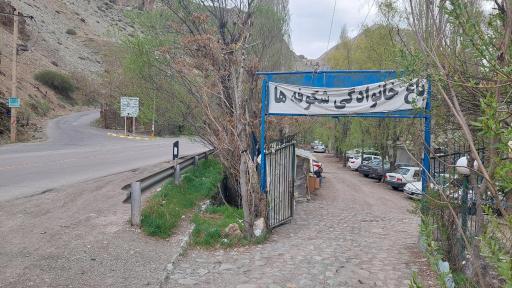 عکس باغ شکوفه ها