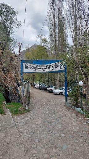 عکس باغ شکوفه ها