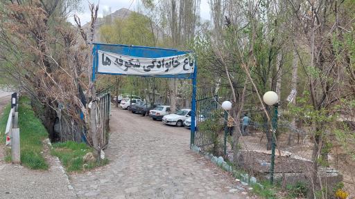 عکس باغ شکوفه ها