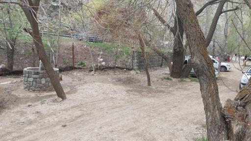 عکس باغ شکوفه ها