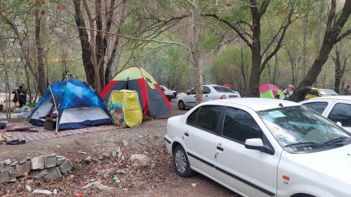 عکس باغ شکوفه ها