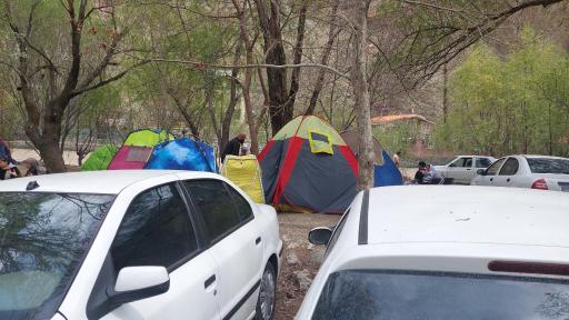 عکس باغ شکوفه ها