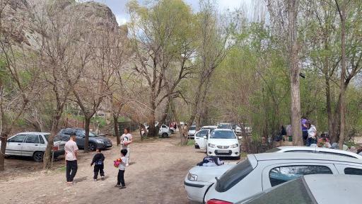 عکس باغ شکوفه ها