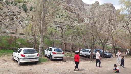 عکس باغ شکوفه ها