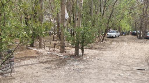 عکس باغ شکوفه ها