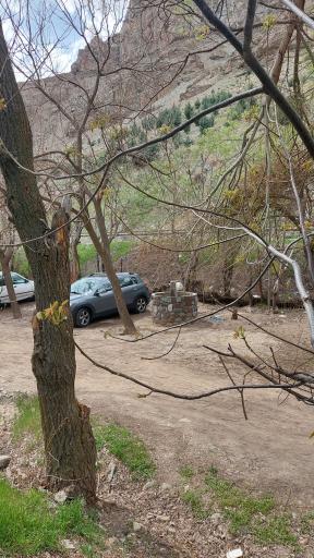 عکس باغ شکوفه ها