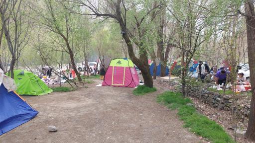 عکس باغ شکوفه ها