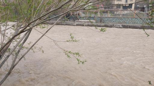 عکس باغ شکوفه ها