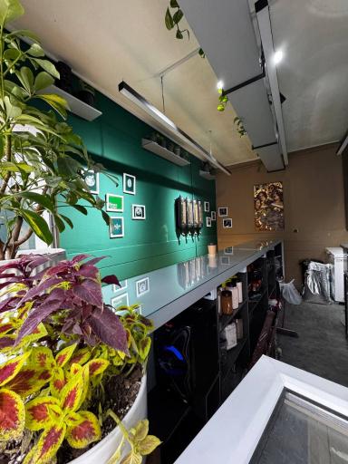 عکس کافه اپرا