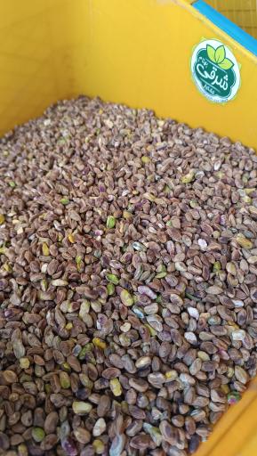 عکس خشکبار بهنام شرقی