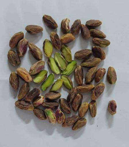 خشکبار بهنام شرقی