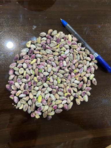 عکس خشکبار بهنام شرقی